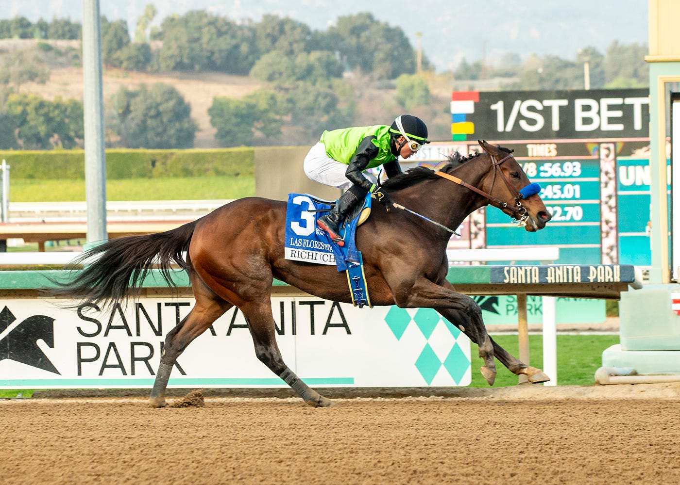 Brad Free s Santa Anita Horses To Watch For Week Of Jan 1 5 2025 Brad free s santa anita horses to watch for week of jan 1 5 2025
